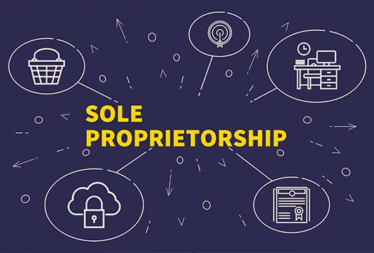 sole proprietorship